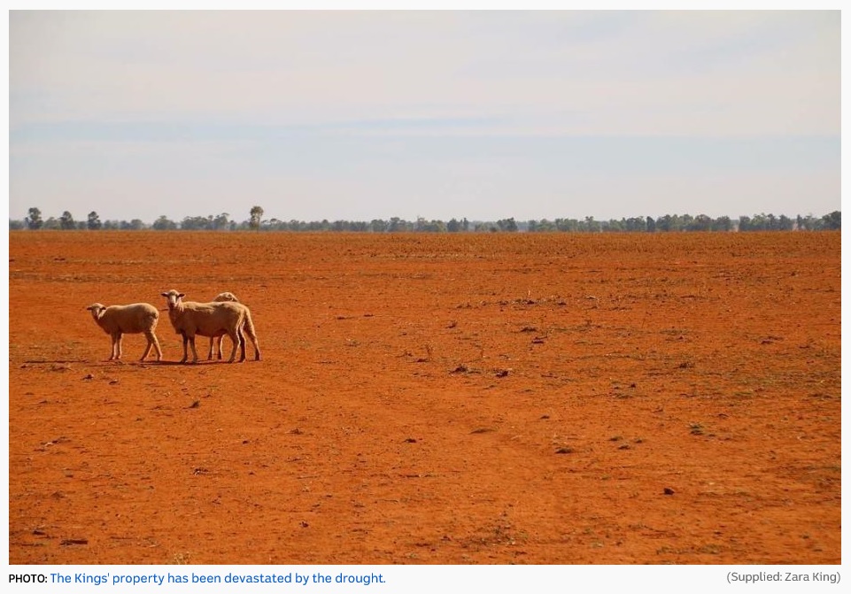 カラカラに乾燥した赤い大地（ABC NEWS スクリーンショット）